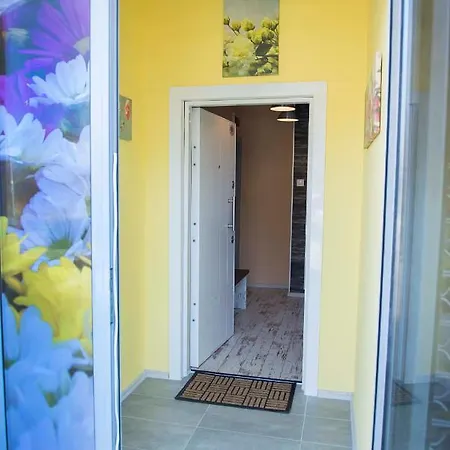 Flower House 1 * Sofia